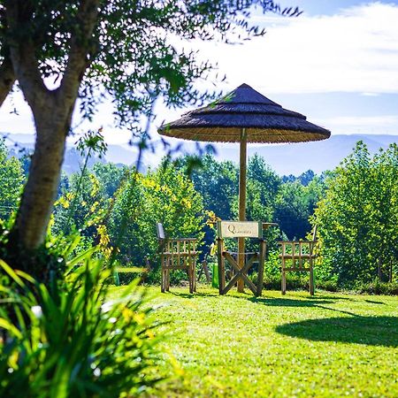 Quinta Da Chouza Agroturismo E Enoturismo Celorico De Basto Exterior foto