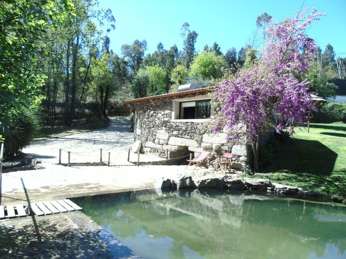 Quinta Da Chouza Agroturismo E Enoturismo Celorico De Basto Exterior foto