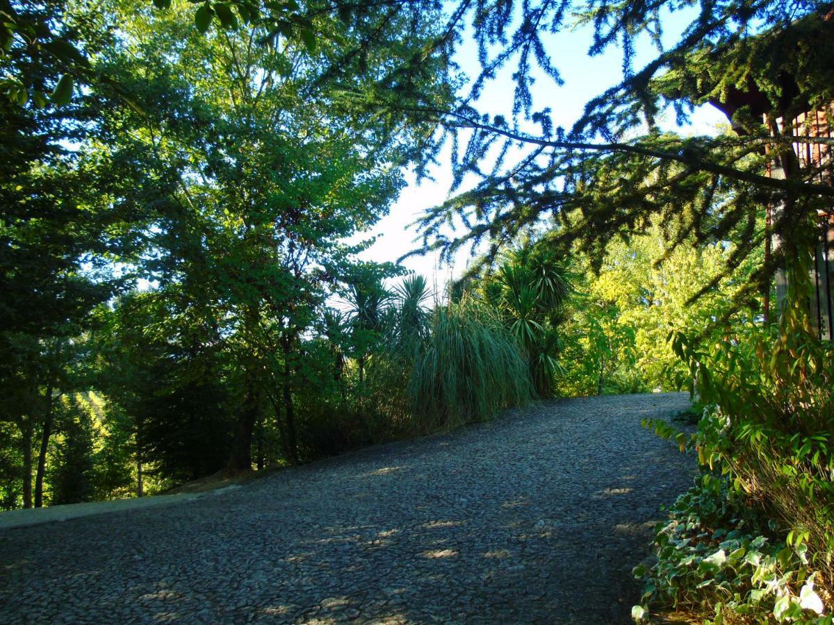 Quinta Da Chouza Agroturismo E Enoturismo Celorico De Basto Exterior foto